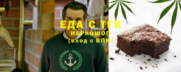 индика Алексин