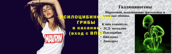 индика Алексин