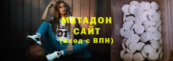 индика Алексин