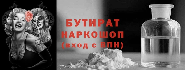 индика Алексин