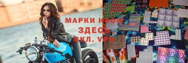 индика Алексин