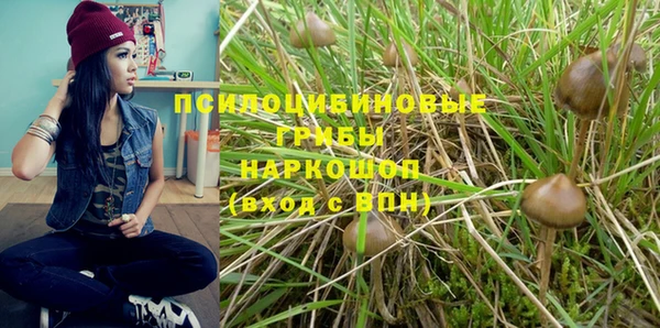эйфоретик Алзамай