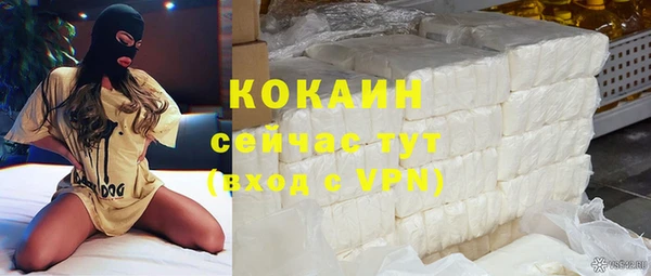 индика Алексин