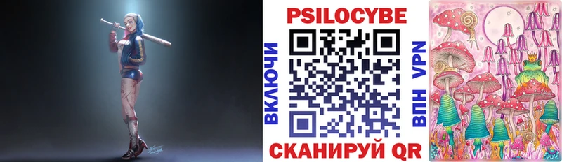 Галлюциногенные грибы Psilocybe  где можно купить   Тавда 